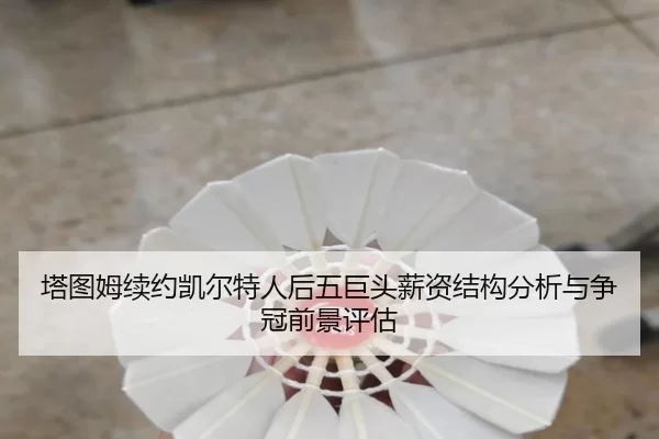 ta-tu-mu-xu-yue-kai-er-te-ren-hou-wu-ju-tou-xin-zi-jie-gou-fen-xi-yu-zheng-guan-qian-jing-ping-gu-3-656.jpg